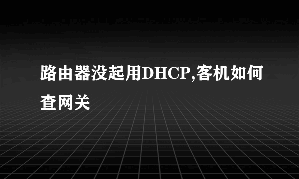 路由器没起用DHCP,客机如何查网关