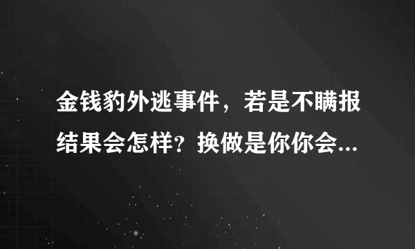 金钱豹外逃事件，若是不瞒报结果会怎样？换做是你你会怎么做？