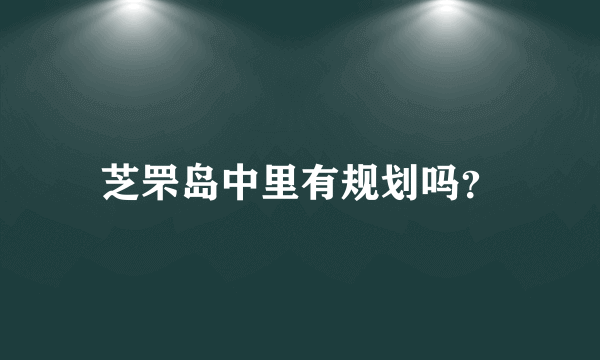 芝罘岛中里有规划吗？