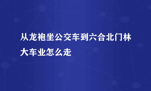 从龙袍坐公交车到六合北门林大车业怎么走