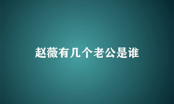 赵薇有几个老公是谁