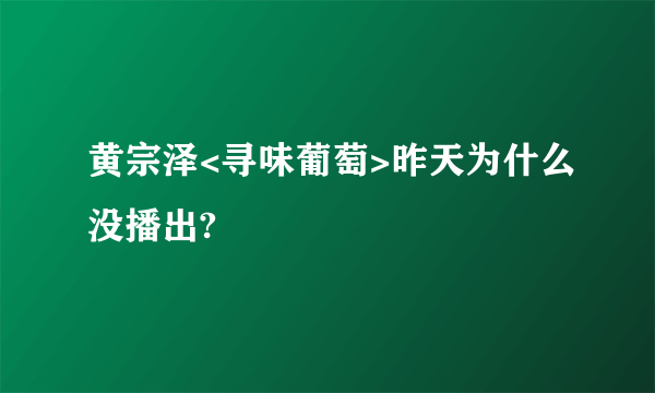 黄宗泽<寻味葡萄>昨天为什么没播出?