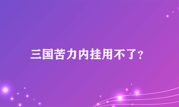 三国苦力内挂用不了？