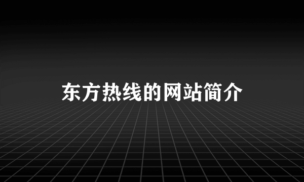 东方热线的网站简介