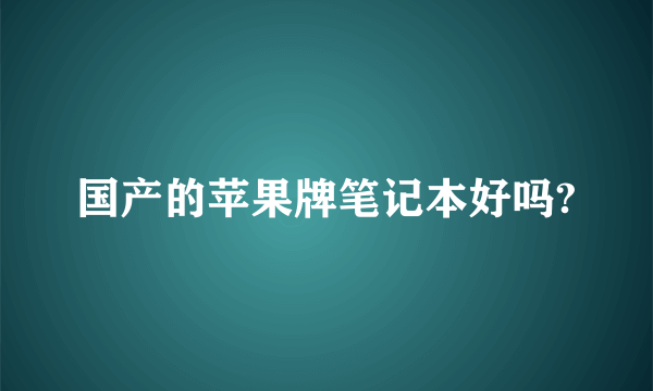 国产的苹果牌笔记本好吗?