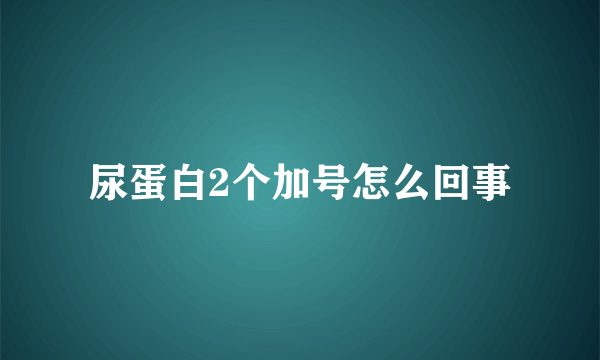 尿蛋白2个加号怎么回事