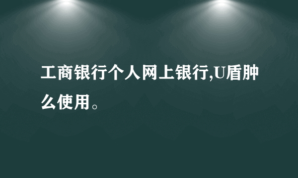 工商银行个人网上银行,U盾肿么使用。