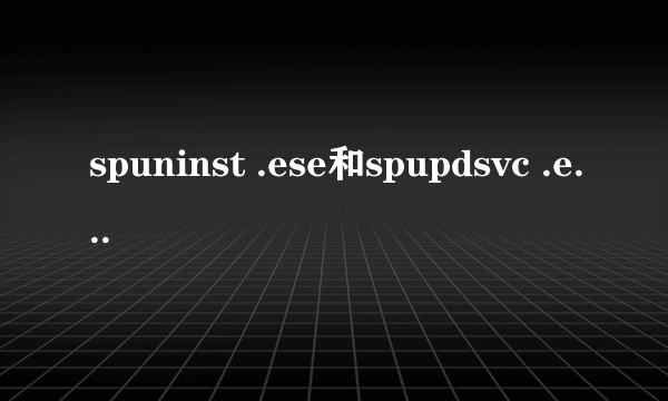 spuninst .ese和spupdsvc .exe分别什么意思啊？