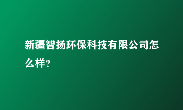 新疆智扬环保科技有限公司怎么样？