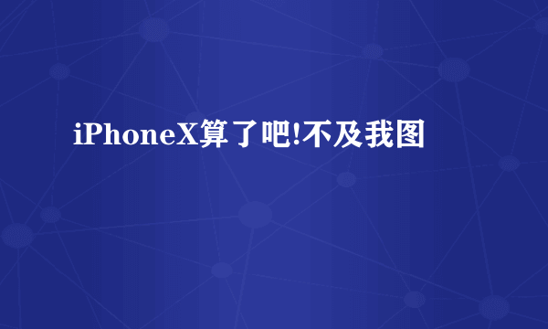 iPhoneX算了吧!不及我图