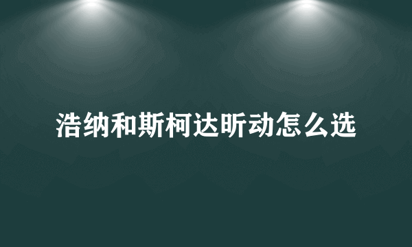 浩纳和斯柯达昕动怎么选