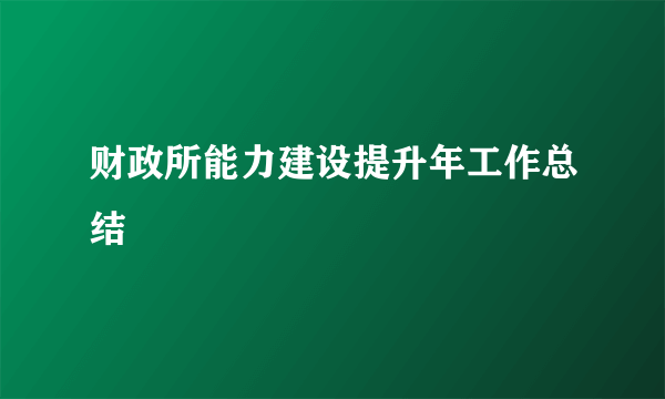 财政所能力建设提升年工作总结