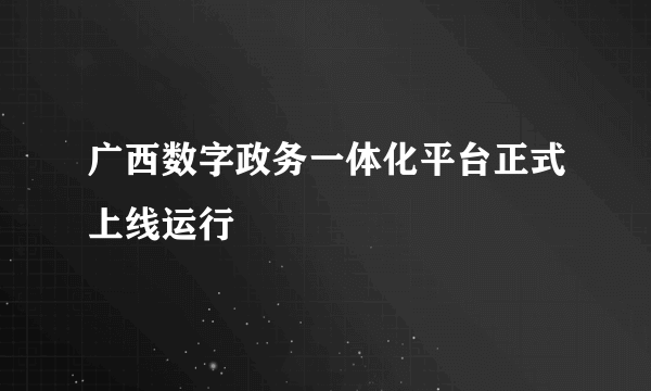 广西数字政务一体化平台正式上线运行