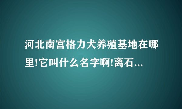 河北南宫格力犬养殖基地在哪里!它叫什么名字啊!离石家庄多远啊!