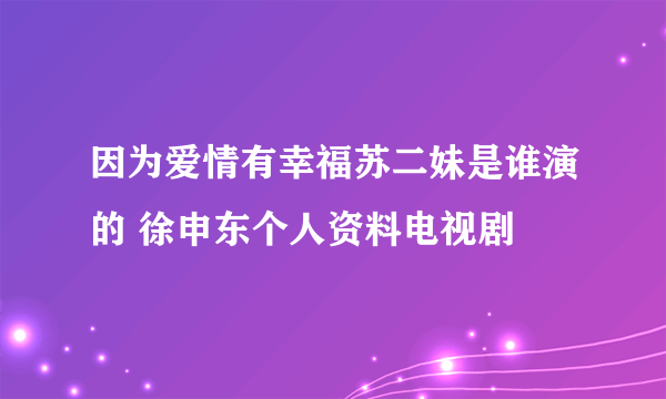 因为爱情有幸福苏二妹是谁演的 徐申东个人资料电视剧