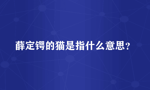 薛定锷的猫是指什么意思？