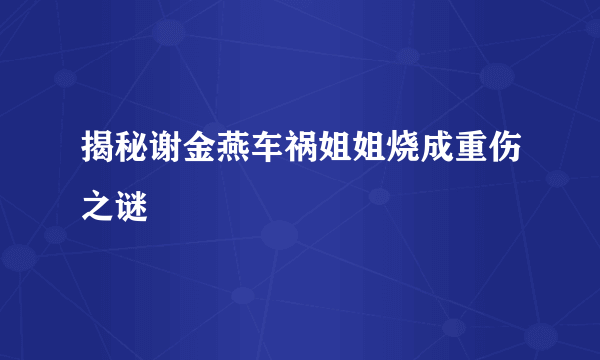 揭秘谢金燕车祸姐姐烧成重伤之谜