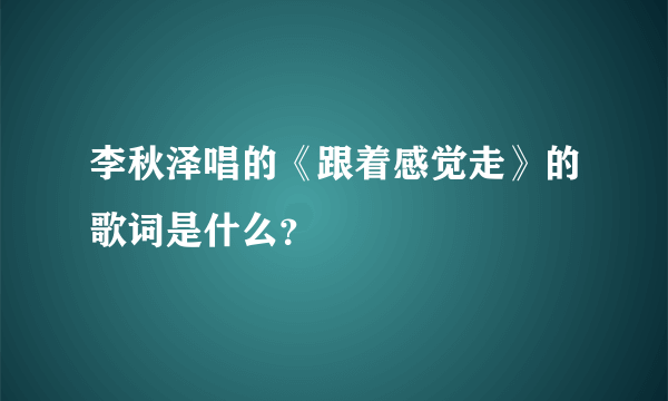 李秋泽唱的《跟着感觉走》的歌词是什么？