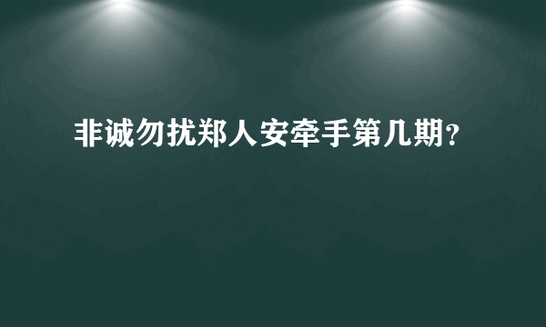 非诚勿扰郑人安牵手第几期？