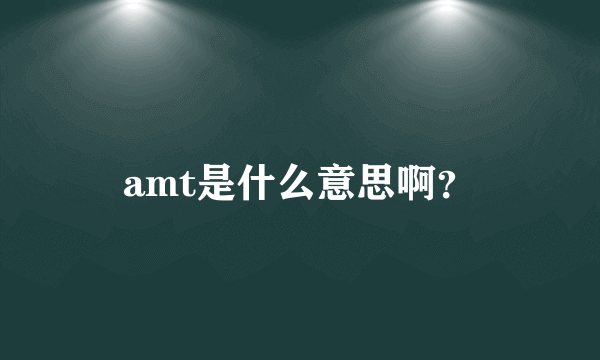 amt是什么意思啊？