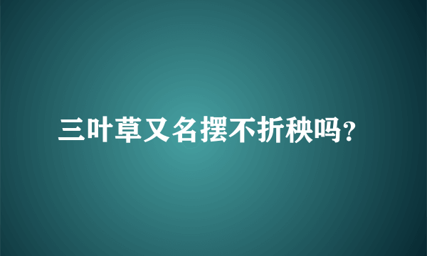 三叶草又名摆不折秧吗？