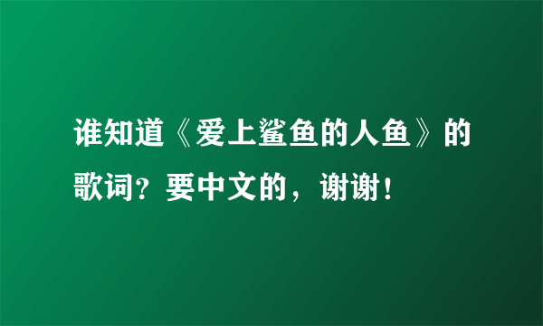 谁知道《爱上鲨鱼的人鱼》的歌词？要中文的，谢谢！