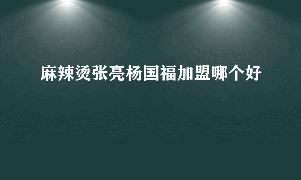 麻辣烫张亮杨国福加盟哪个好