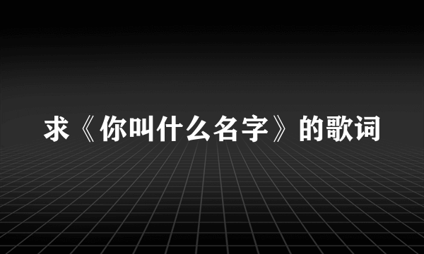 求《你叫什么名字》的歌词