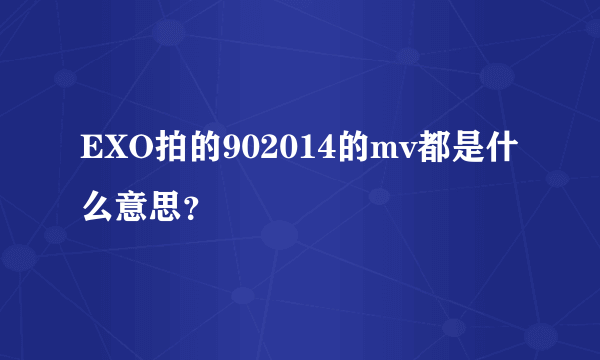 EXO拍的902014的mv都是什么意思？