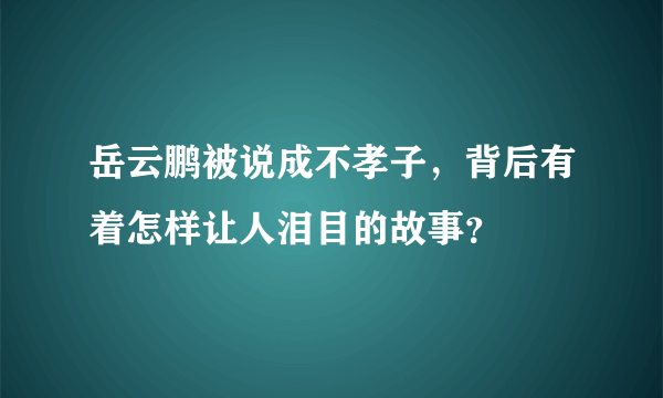 岳云鹏被说成不孝子，背后有着怎样让人泪目的故事？