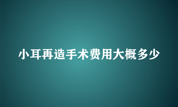 小耳再造手术费用大概多少