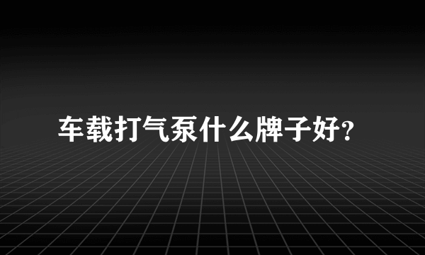 车载打气泵什么牌子好？