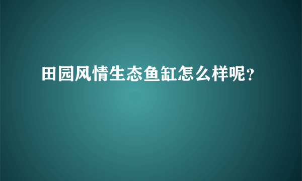 田园风情生态鱼缸怎么样呢？