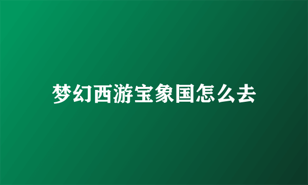 梦幻西游宝象国怎么去