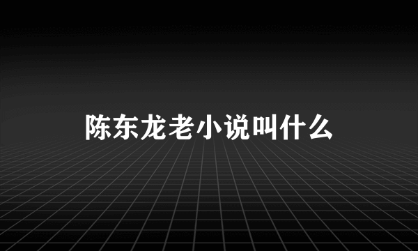 陈东龙老小说叫什么