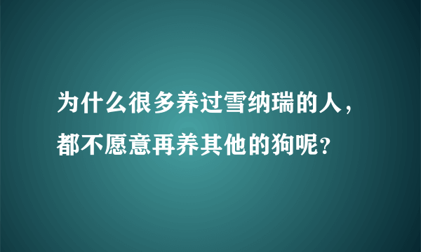 为什么很多养过雪纳瑞的人，都不愿意再养其他的狗呢？