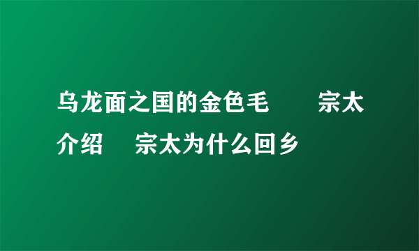 乌龙面之国的金色毛毬俵宗太介绍 俵宗太为什么回乡