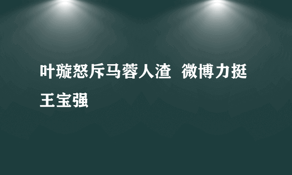 叶璇怒斥马蓉人渣  微博力挺王宝强