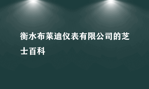 衡水布莱迪仪表有限公司的芝士百科