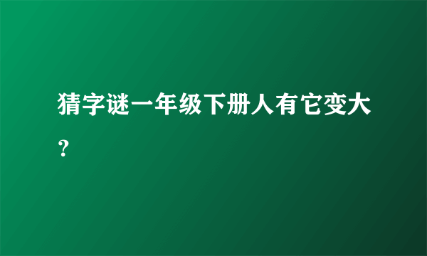 猜字谜一年级下册人有它变大？