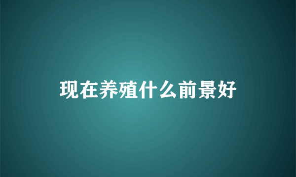 现在养殖什么前景好