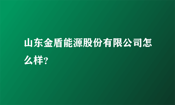 山东金盾能源股份有限公司怎么样？