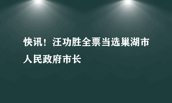 快讯！汪功胜全票当选巢湖市人民政府市长