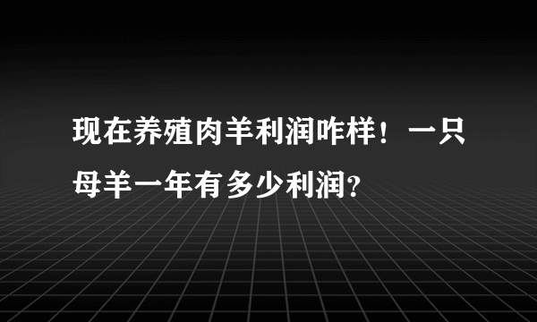 现在养殖肉羊利润咋样！一只母羊一年有多少利润？