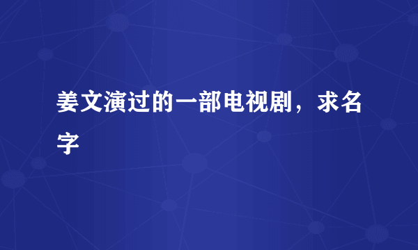 姜文演过的一部电视剧，求名字