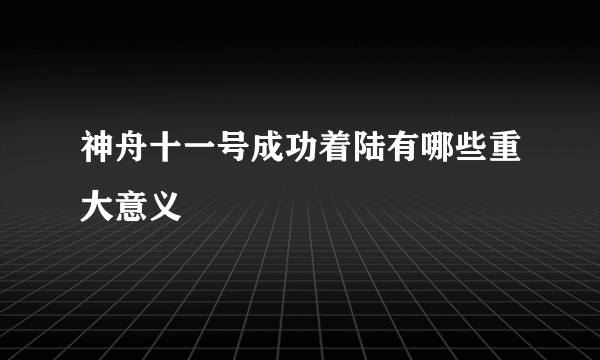 神舟十一号成功着陆有哪些重大意义