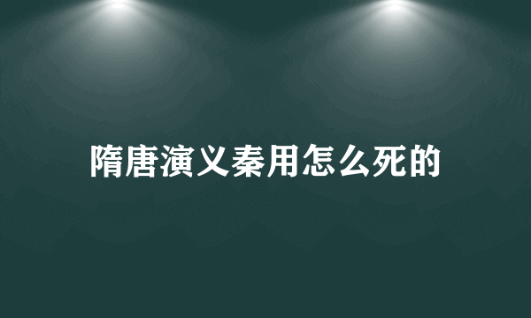 隋唐演义秦用怎么死的