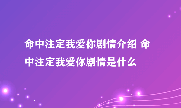 命中注定我爱你剧情介绍 命中注定我爱你剧情是什么