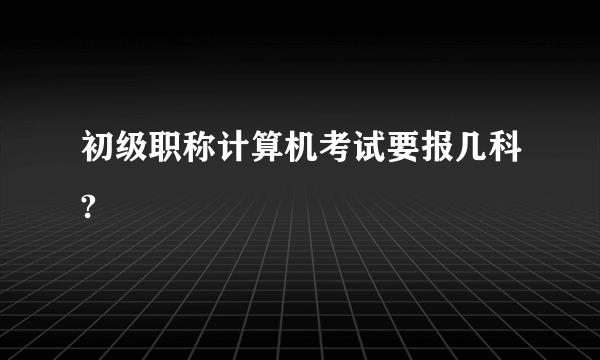 初级职称计算机考试要报几科?