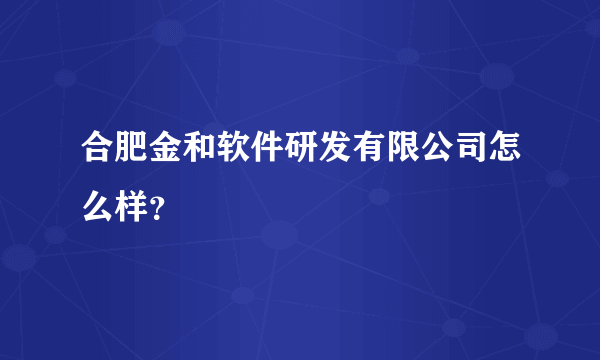 合肥金和软件研发有限公司怎么样？